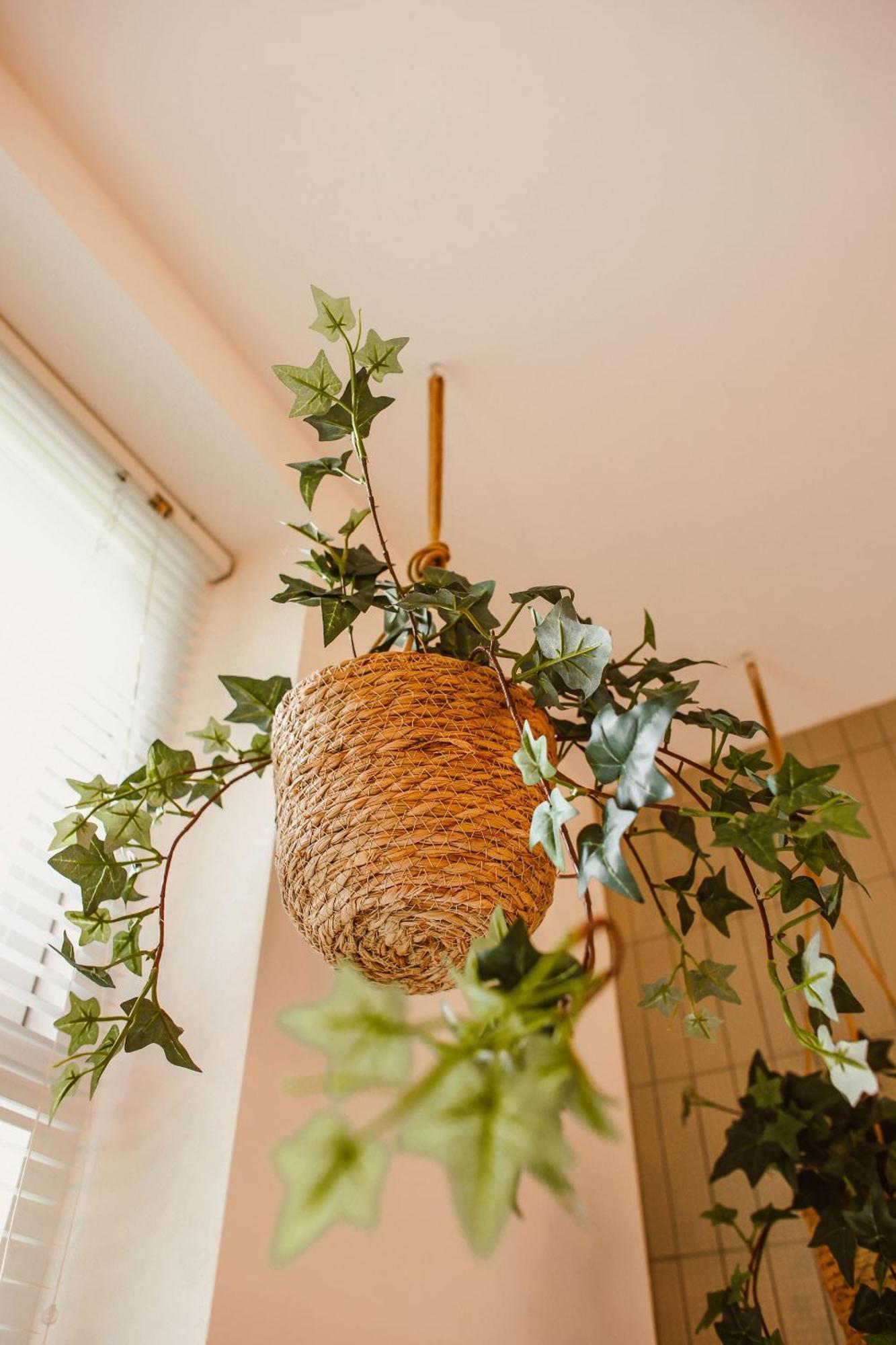 Boutiquehotel & Tiny Houses Plek17 Milsbeek Buitenkant foto