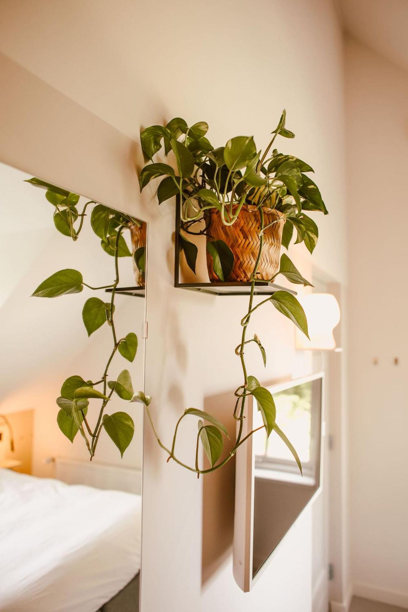 Boutiquehotel & Tiny Houses Plek17 Milsbeek Buitenkant foto