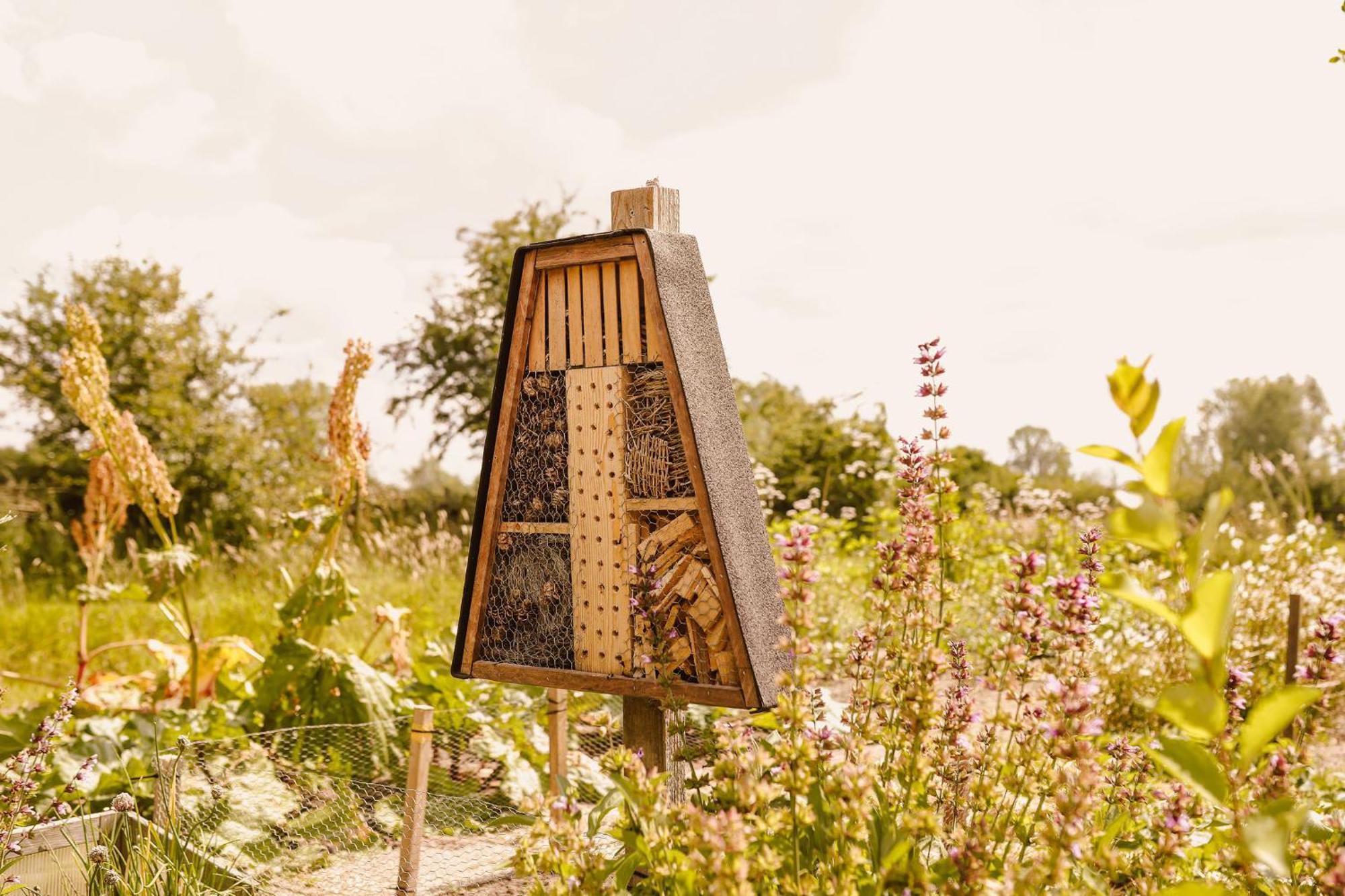 Boutiquehotel & Tiny Houses Plek17 Milsbeek Buitenkant foto