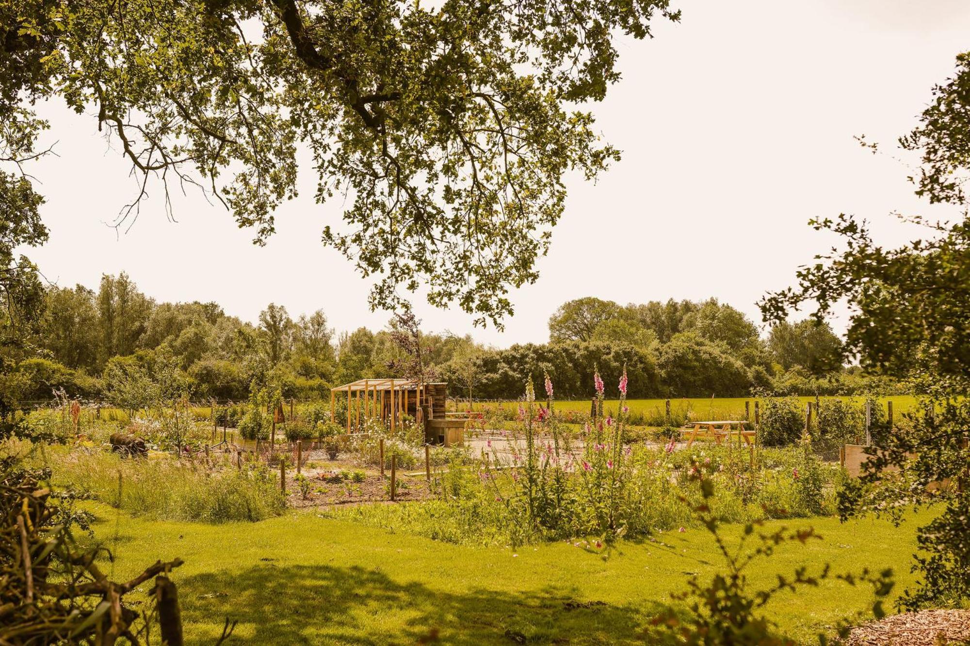 Boutiquehotel & Tiny Houses Plek17 Milsbeek Buitenkant foto