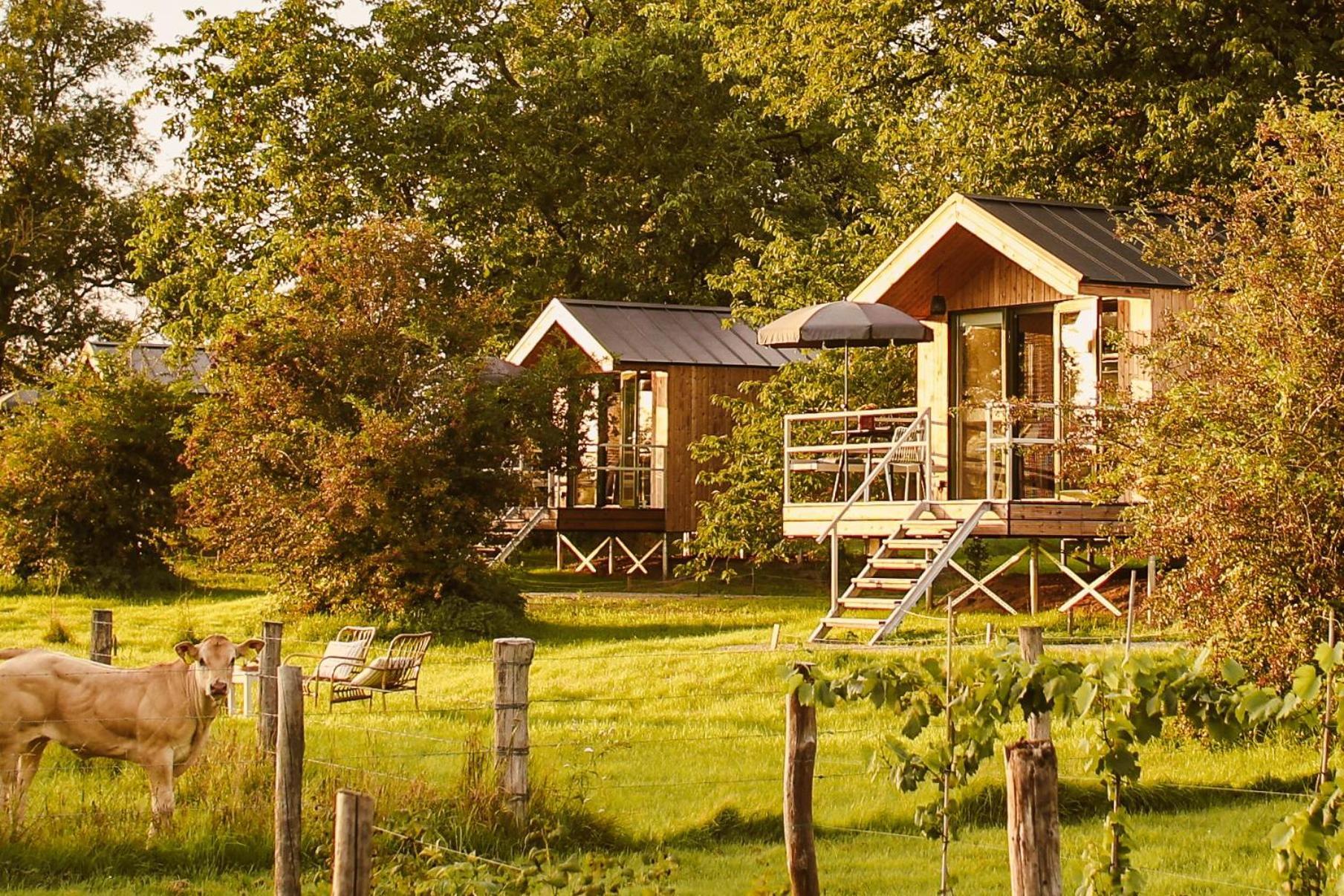 Boutiquehotel & Tiny Houses Plek17 Milsbeek Kamer foto